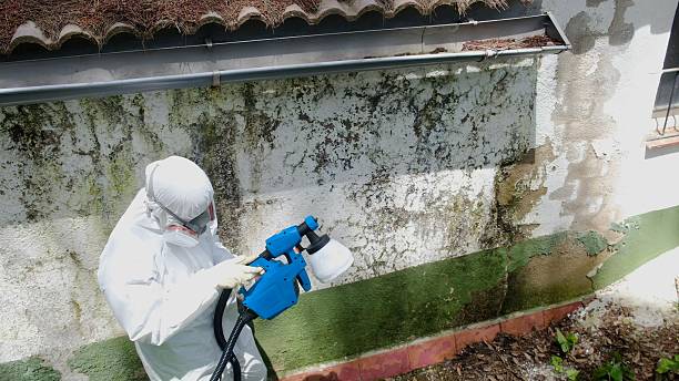 Trusted Mold Testing service in Coopersville, MI - Cheap Mold Removal